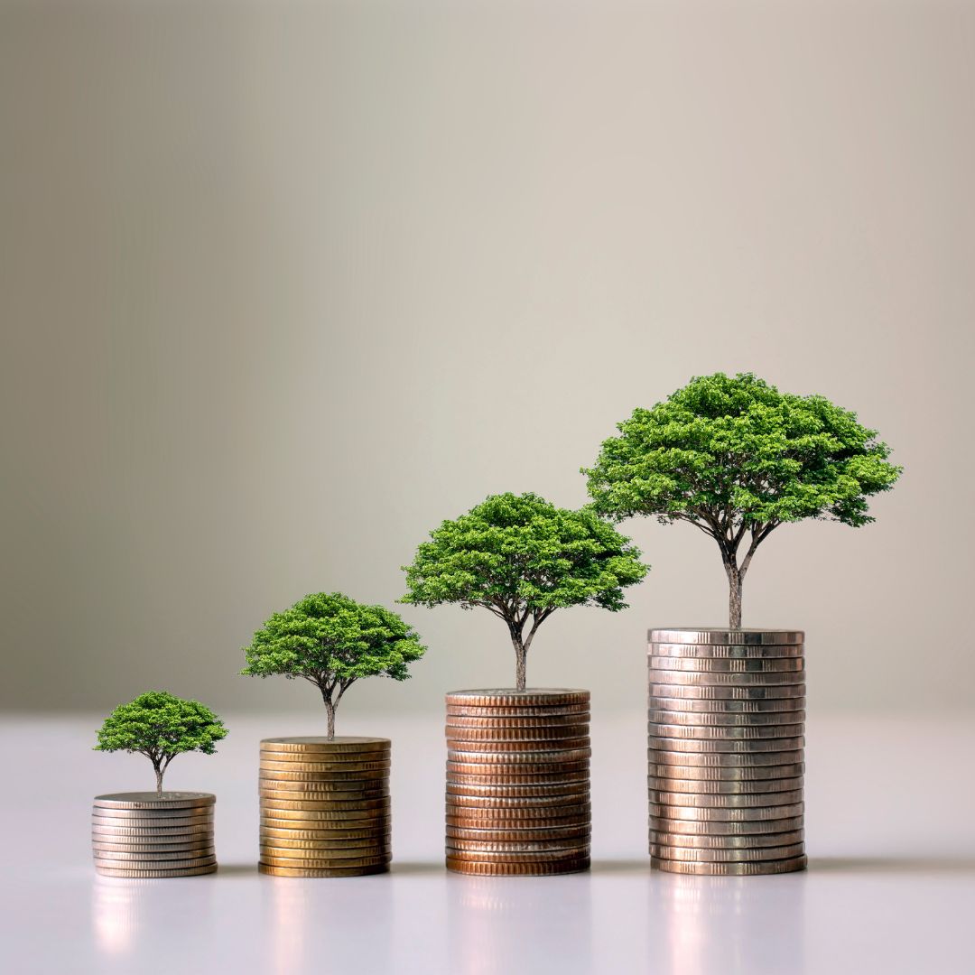 Investment concept with trees and coins