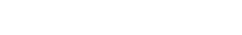 The Newsify Logo White